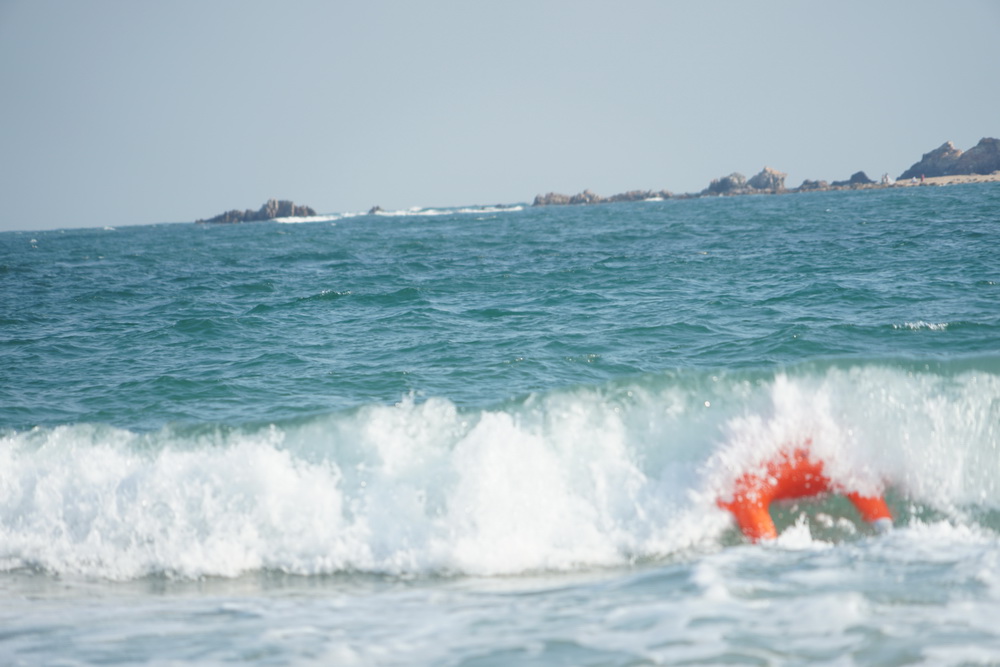 Remote-controlled water lifesaver, remote-controlled lifebuoy, remote-controlled water lifesaving robot, water rescue robot, U-shaped electric lifebuoy
